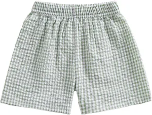 Kids Toddler Boys Girls Gingham/Seersucker Shorts Elastic Waist Plaid/Striped Elastic Waist Shorts Pants Bottoms